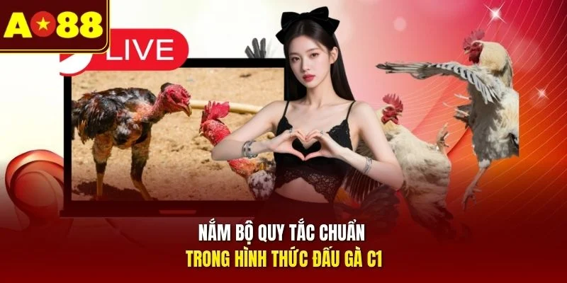Nắm bộ quy tắc chuẩn trong hình thức đấu gà C1